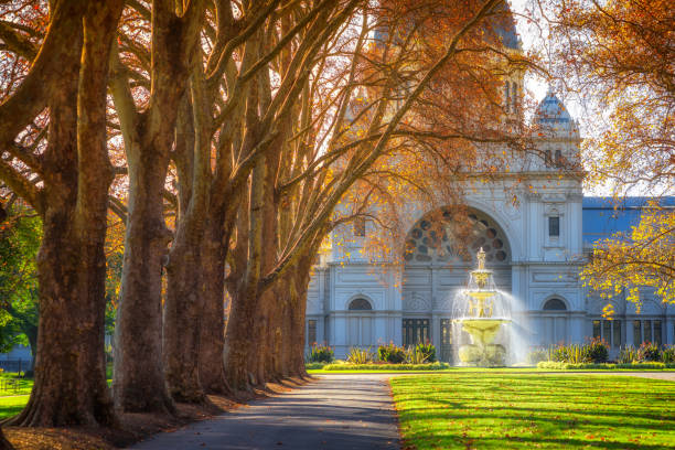 Row of Trees A row of trees leading to a fountain in front of the royal exhibition building at Carlton Gardens in Melbourne, Australia. arts centre melbourne stock pictures, royalty-free photos & images
