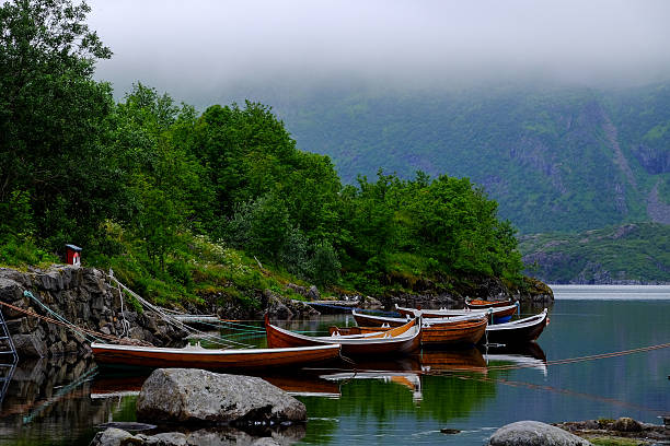 Rowing boats on a line stock photo