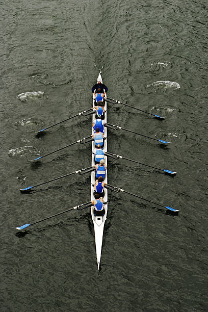 Rowing In Crew Races stock photo