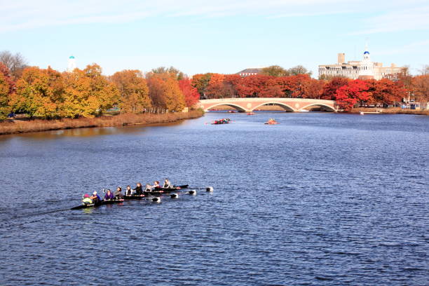 Rowing on the Charles River stock photo