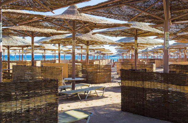 Rows of straw umbrellas from the sun, stretching into the distance on a wide beach on the Red Sea stock photo