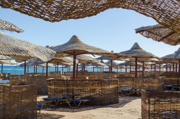 Rows of straw umbrellas from the sun, stretching into the distance on beach on the Red Sea stock photo
