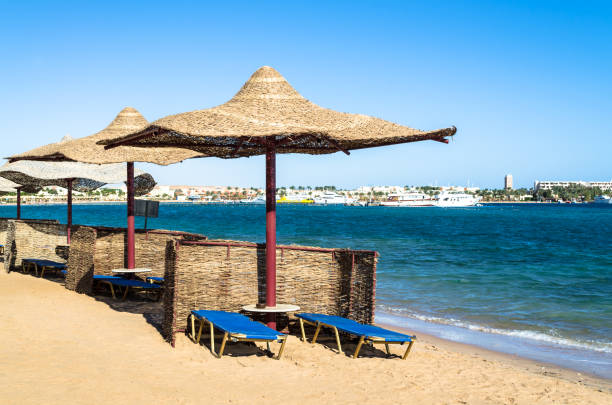 Rows of straw umbrellas from the sun, stretching into the distance on beach on the Red Sea stock photo