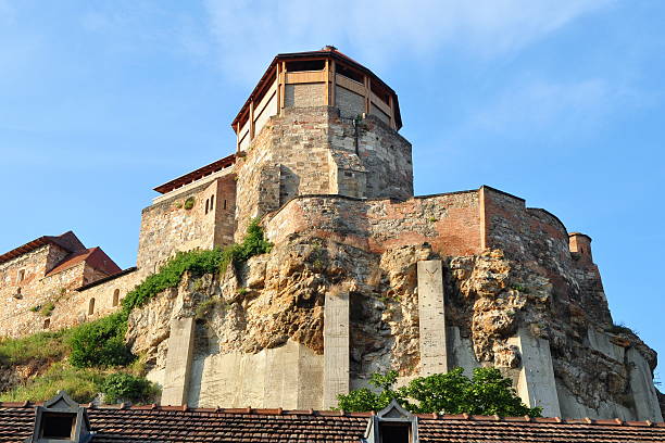 royal castle in Estzergom,Hungary stock photo