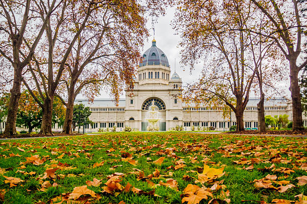 Royal Exhibition Building Melbourne, Australia - June 12, 2016: The Royal Exhibition Building at Carlton Gardens in autumn, with leaves from plane trees covering the Grand Allée before it. arts centre melbourne stock pictures, royalty-free photos & images