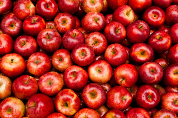 Royal Gala apples Pile of red Royal Gala apples aluxum stock pictures, royalty-free photos & images