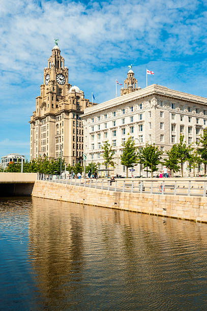 Royal Liver Building, Liverpool, England  liverpool docks and harbour building stock pictures, royalty-free photos & images