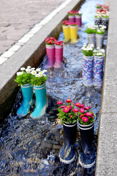 резиновые сапоги в воде с цветами в городе фрайбург. туристическая достопримечательность. - freiburg стоковые фото и изображения