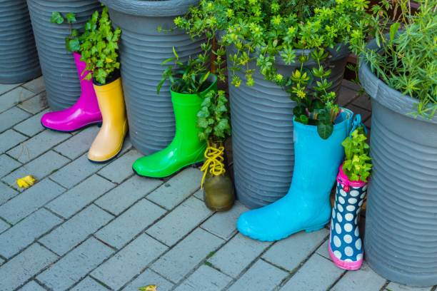 Rubber Boots with Plants in it Symbolic Environment Protection upcycling stock pictures, royalty-free photos & images