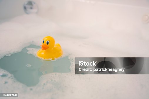 istock Rubber Duckie 176049131