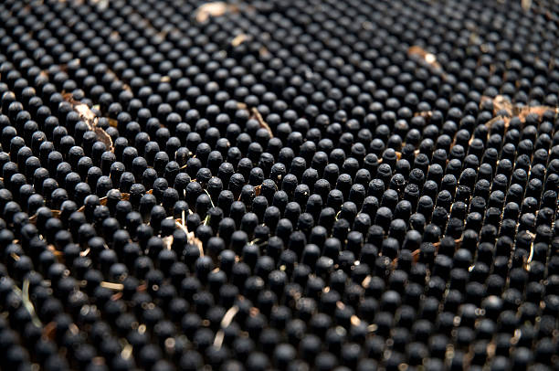Rubber Mat Rubber mat with leaves and sticks of grass theishkid stock pictures, royalty-free photos & images