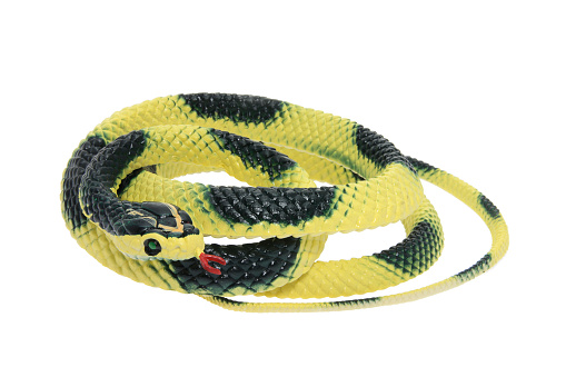 Rubber Snake Stock Photo - Download Image Now - iStock