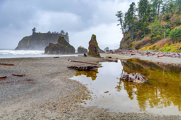 Ruby Beach, Olympic National Park in the U.S. state stock photo