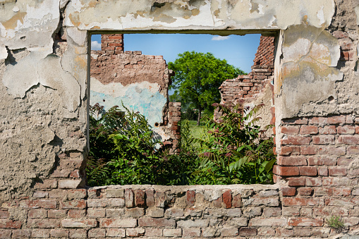 Ruins window and red brick wall of old the house without roof and grass growing from the floor. The house collapsed from catastrophe. Old broken home building concept. Close up, selective focus