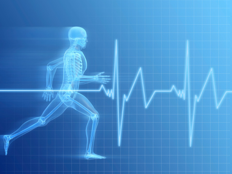 3d rendered anatomy illustration of a running man