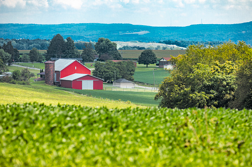 A snapshot of rural America with a red barn among farm lands.