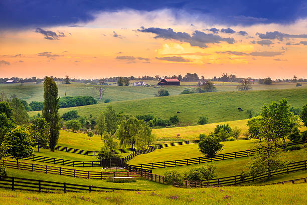 Rural Kentucky Beautiful evening scene in Kentucky's Bluegrass region kentucky stock pictures, royalty-free photos & images
