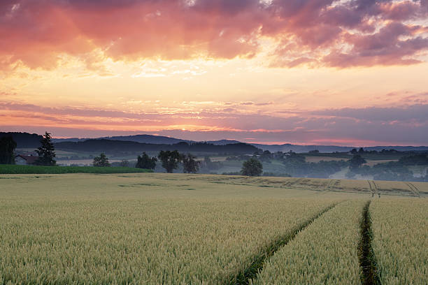 rural landscape at sunrise stock photo