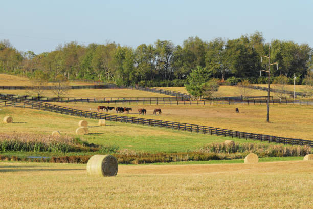 Rural Landscape - Kentucky stock photo