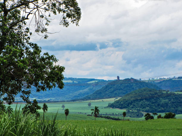 Rural landscape of the interior of Brazil - Torrinha - São Paulo - Brazil stock photo