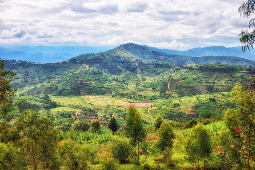Rural Landscape Rwanda Stock Photo - Download Image Now ...