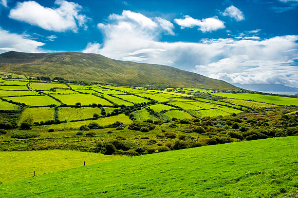 Rural Landscape With Pastures In Ireland stock photo