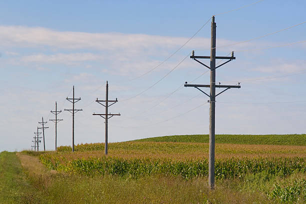 Rural Power Lines "Subject: A row of electric power poles supplying electricity to rural areaLocation: Fergus Falls, Minnesota, USA" telephone pole photos stock pictures, royalty-free photos & images