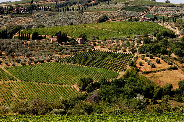 Rural scenery in Chianti in central Tuscany stock photo