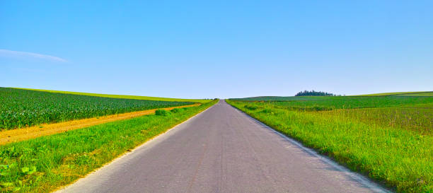 Rural scenery with a straight road stock photo