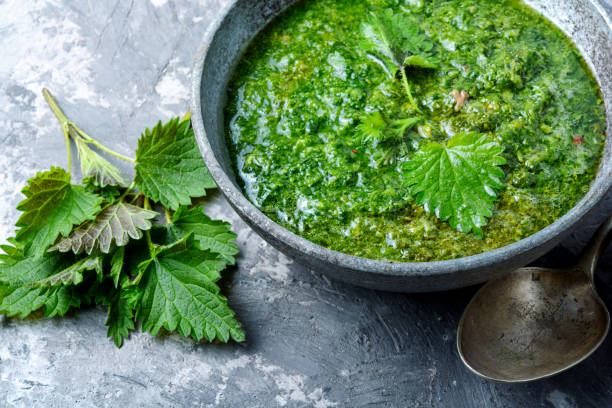 Russian traditional nettle soup stock photo