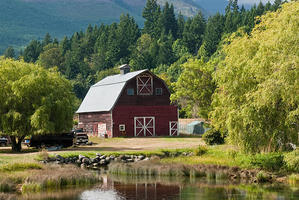 Rustic Red Barn Reflected in a Pond This rustic red barn is reflected in a pond on Highway 101 near Brinnon, Washington State, USA. jeff goulden barn stock pictures, royalty-free photos & images