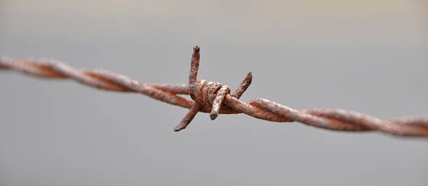 Rusty Barbed Wire stock photo