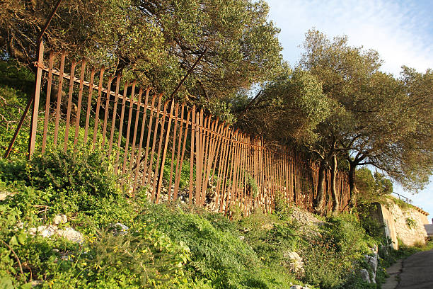 Rusty Fence stock photo