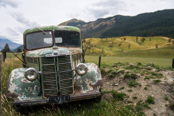 roestige oude vrachtwagen op landbouwgrond met dieren in achtergrond - front view old jeep stockfoto's en -beelden