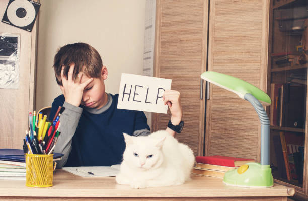 Sad and tired pre teen schoolboy sitting in stress Sad and tired pre teen schoolboy sitting in stress working doing homework, asking for help with cat on his desk struggle stock pictures, royalty-free photos & images