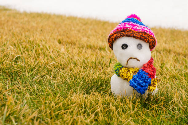 Sad snowman Sad snowman in knitted hat and scarf meting melting snow man stock pictures, royalty-free photos & images