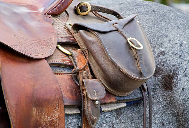 Saddle Bag on Horse stock photo