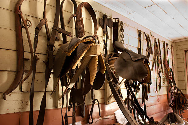 Saddlery wall stocked with horse gear Horse saddles and bridles hanging in old saddlery against wooden wall stirrup stock pictures, royalty-free photos & images
