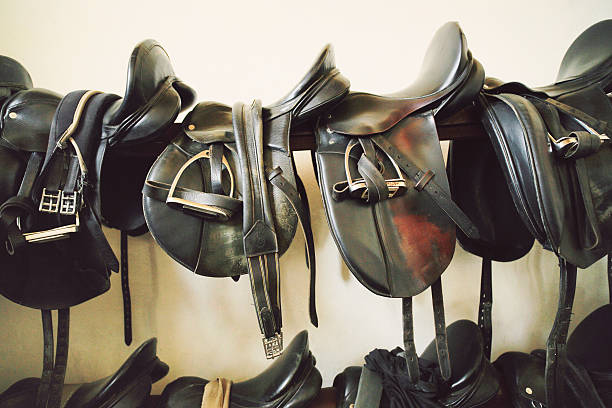 Saddles in tack room. Saddles in tack room. stirrup stock pictures, royalty-free photos & images