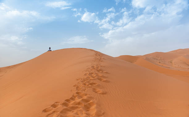 sahara desert in marrakech, morocco - marrakech desert imagens e fotografias de stock
