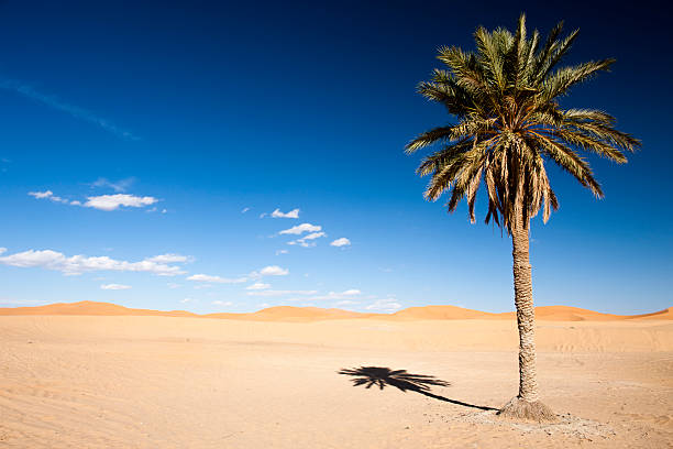 Sahara stock photo