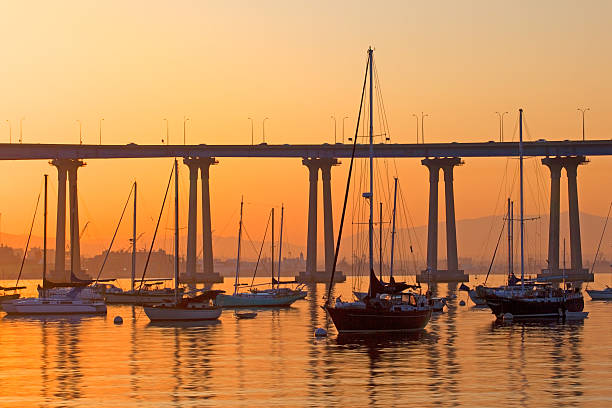 San Diego Sunset Coronado Bridge Magnet NEW Sailboat 