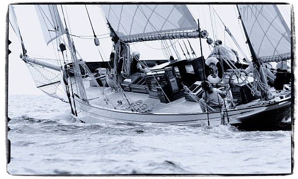 Sail (Black and white) stock photo