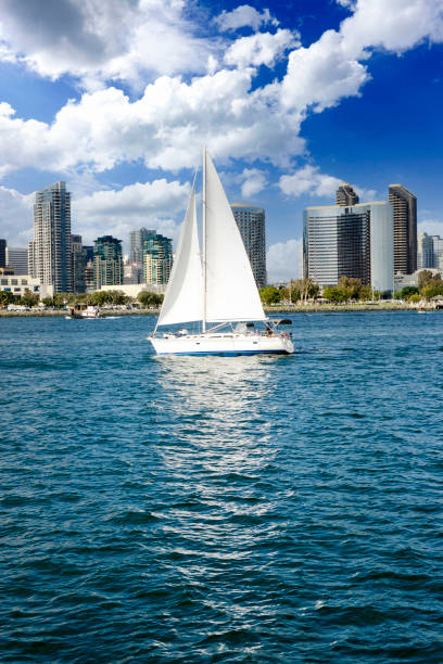 Sailboat in San Diego Bay passing the downtown skyscrapers of San Diego, California stock photo