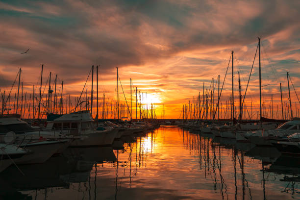 Sailboat marina at sunset stock photo