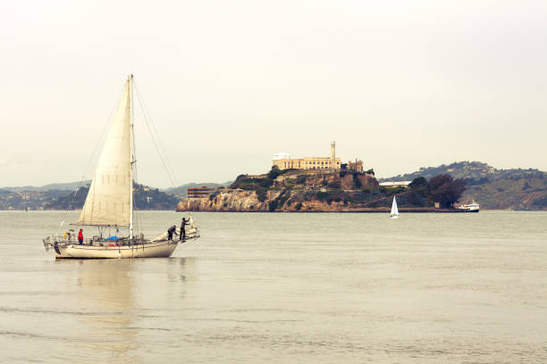 sailboats on san francisco bay around alcatraz prision. - prision imagens e fotografias de stock