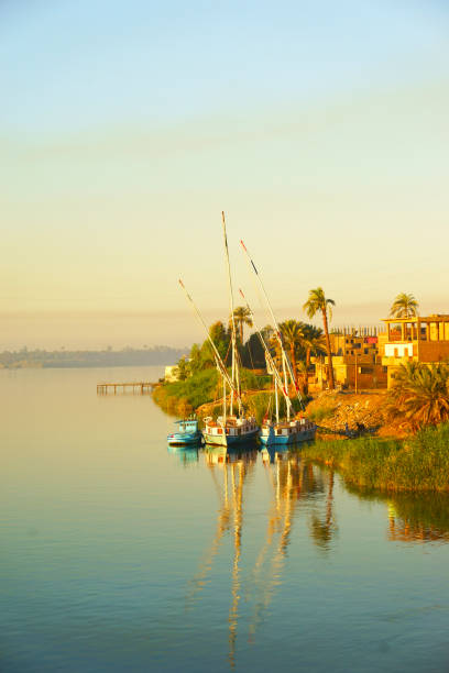 Sailing boats on Nile river near Aswan Sailing boats on Nile river near Aswan aswan egypt stock pictures, royalty-free photos & images
