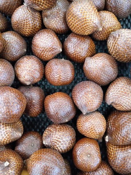 Salak is a type of palm fruit commonly eaten. This fruit is called snake fruit because the skin is similar to snake scales. stock photo