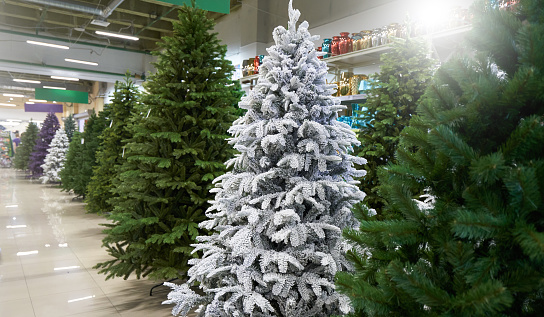 Sale of many artificial Christmas trees in green, purple and white at a decor store