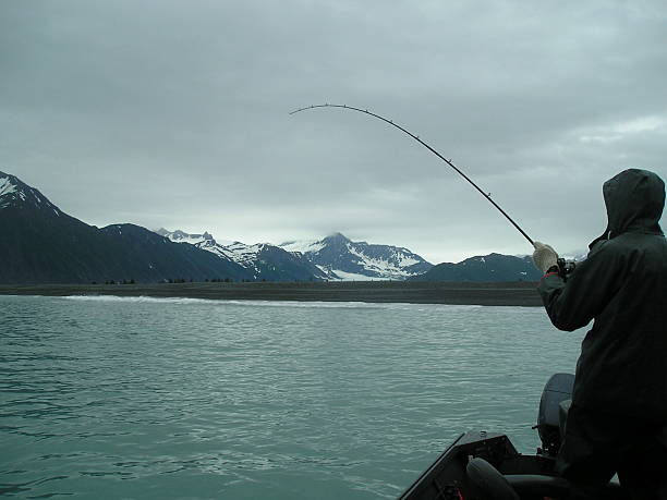 Salmon Fishing in Alaska  kenai peninsula stock pictures, royalty-free photos & images